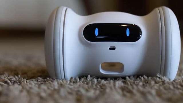 Un piccolo robot per tenere impegnati i nostri animali domestici