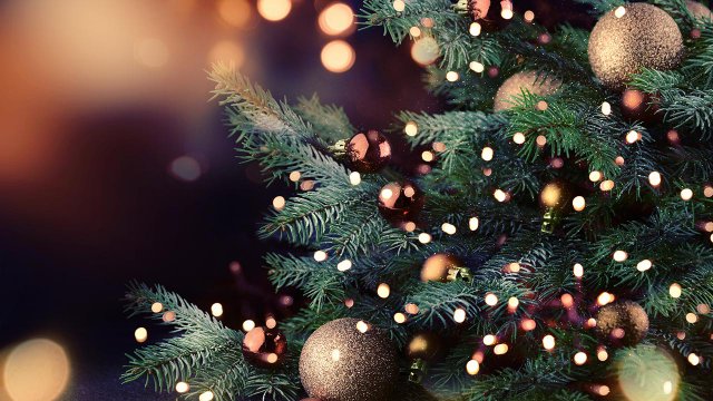 Idea Albero Di Natale.Natale 2019 Le Migliori Idee Dal Web Per Albero Di Natale E Lavoretti Fai Da Te Fastweb