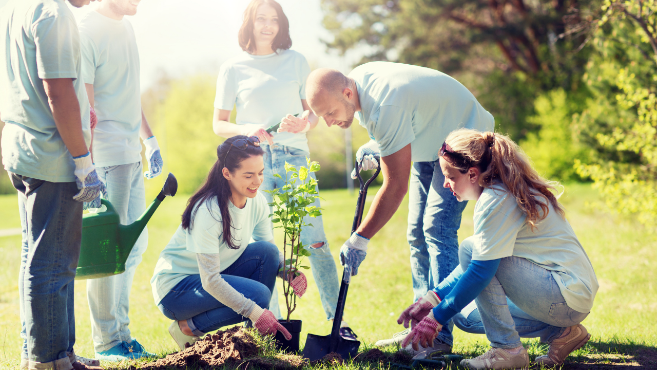 Recuperare un elenco di foto Recuperare un elenco di foto