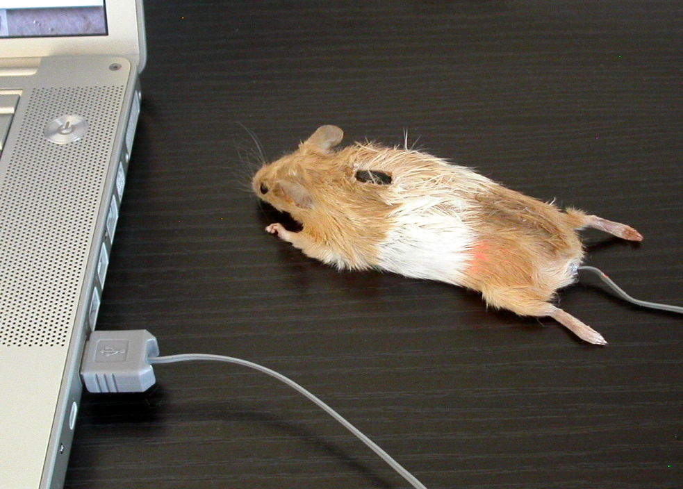 Più mouse di così... si muore