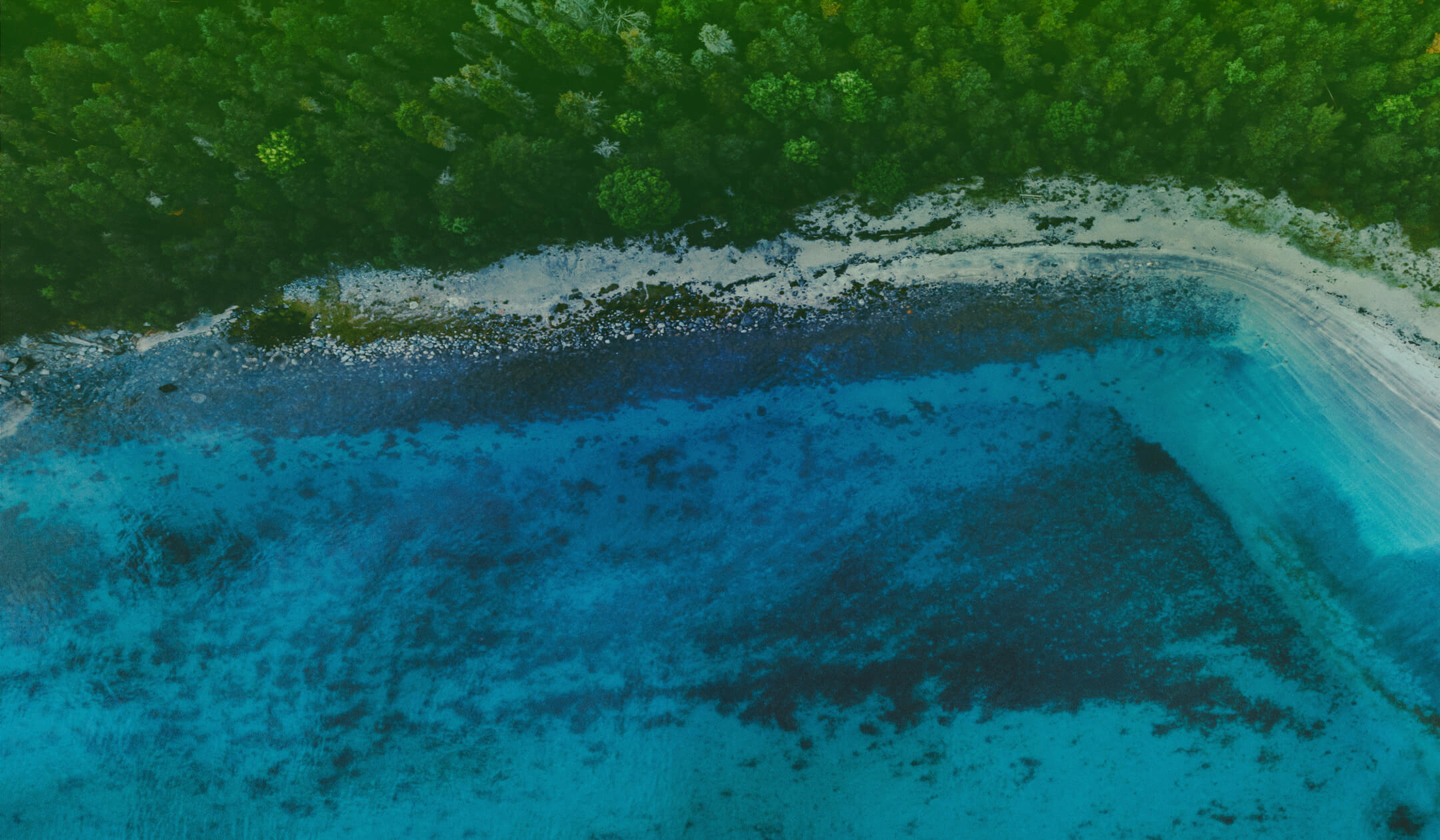 Fastweb Sostiene Il Pianeta Con 1 000 000 Di Euro Fastweb Fastweb Sostiene Il Pianeta Con 1 000 000 Di Euro Fastweb