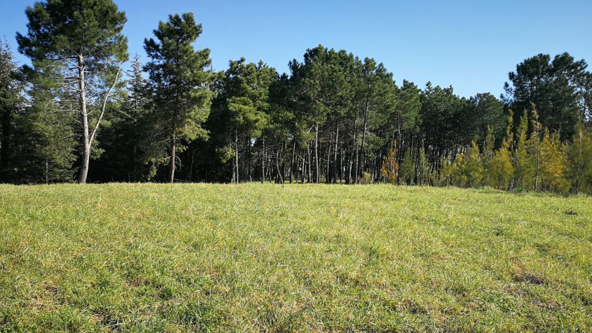 Parco della Cellulosa