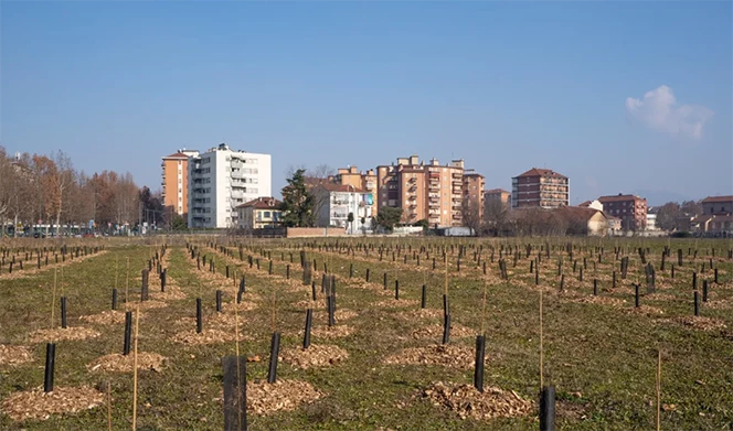 Parco Piemonte - Torino