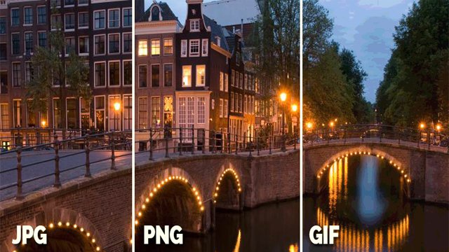 Un'immagine, tre formati: ecco come cambia la qualità di un'immagine tra JPG, PNG e GIF