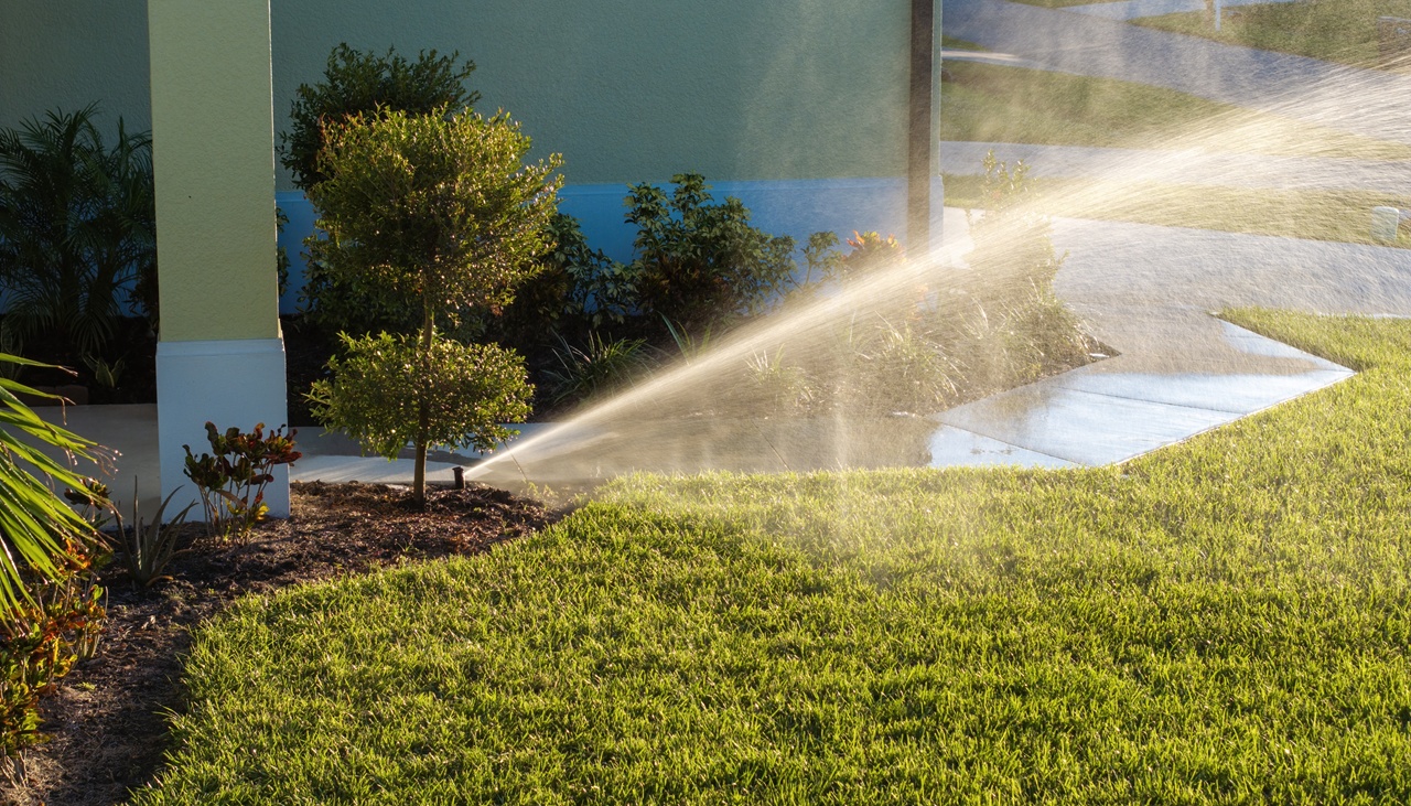 Irrigazine