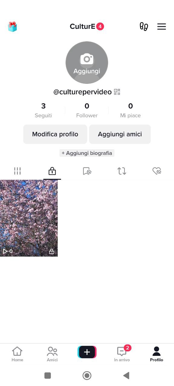Video privati TikTok