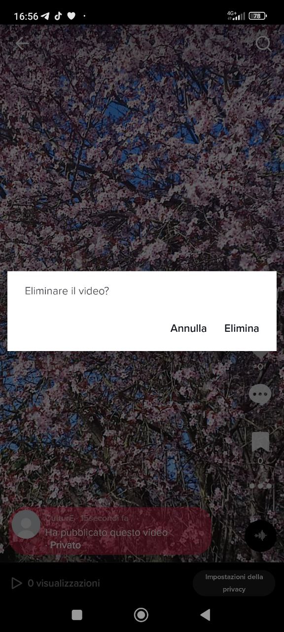 Elimninare un video su TikTok