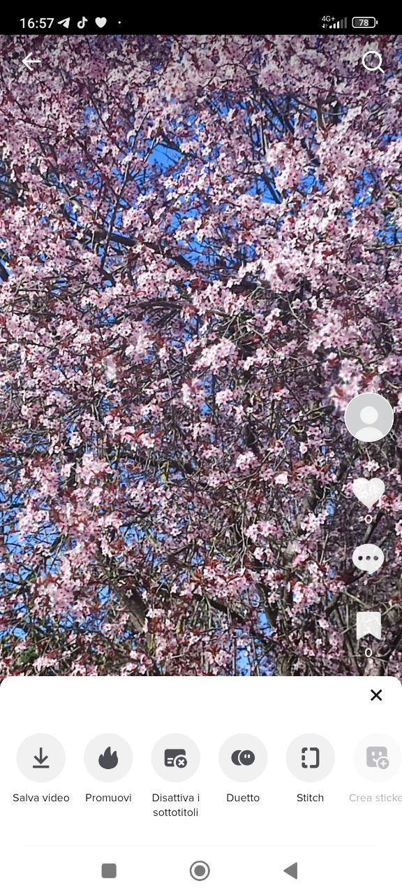 TikTok azione sui video TikTok azione sui video