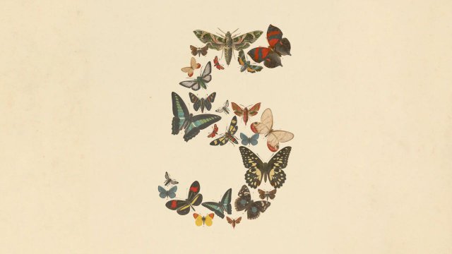 Claude Fable 5