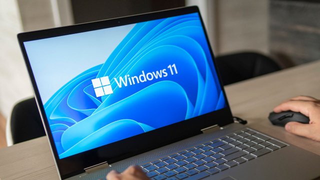 Windows 11