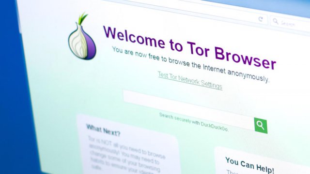 tor browser