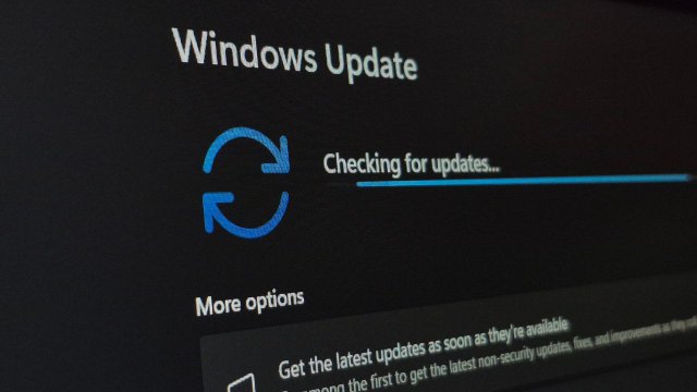 Windows 11