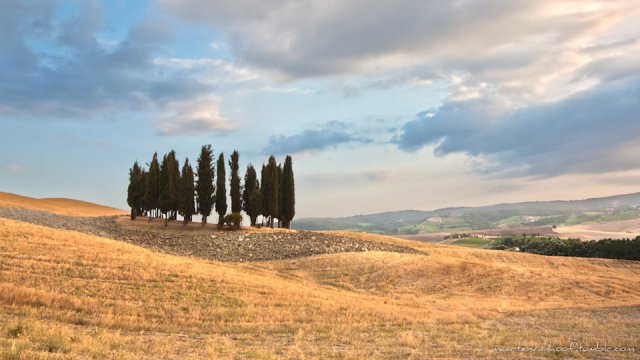 Una vista delle colline toscane, tra le mete preferite dei turisti della domenica