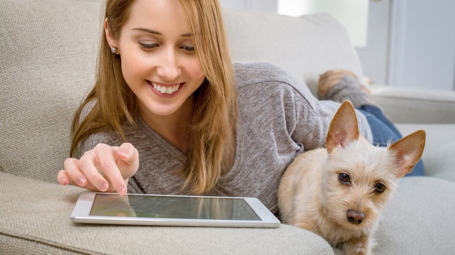 Cane e tablet