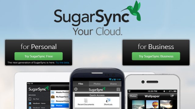 SugarSync