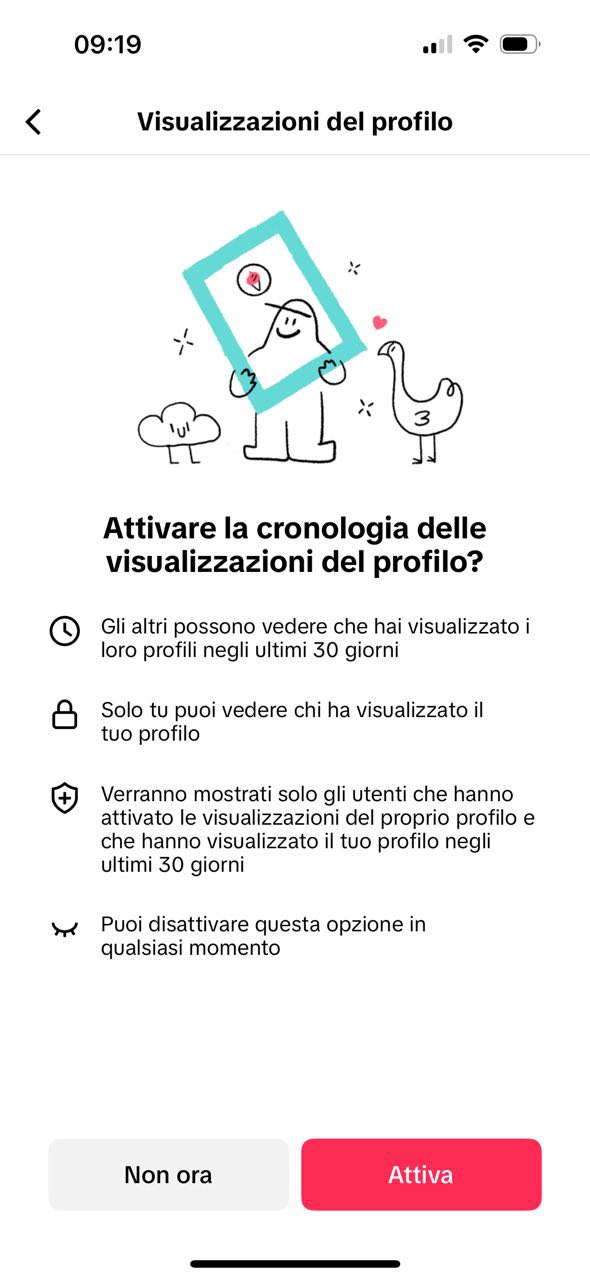 Visualizzazioni profilo tiktok