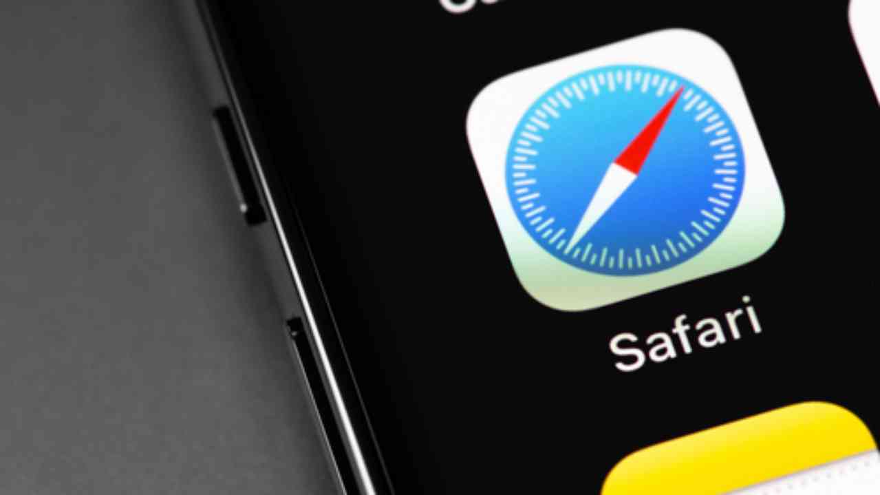 Safari Safari