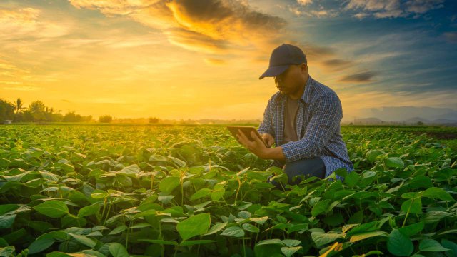 agricoltore con tablet