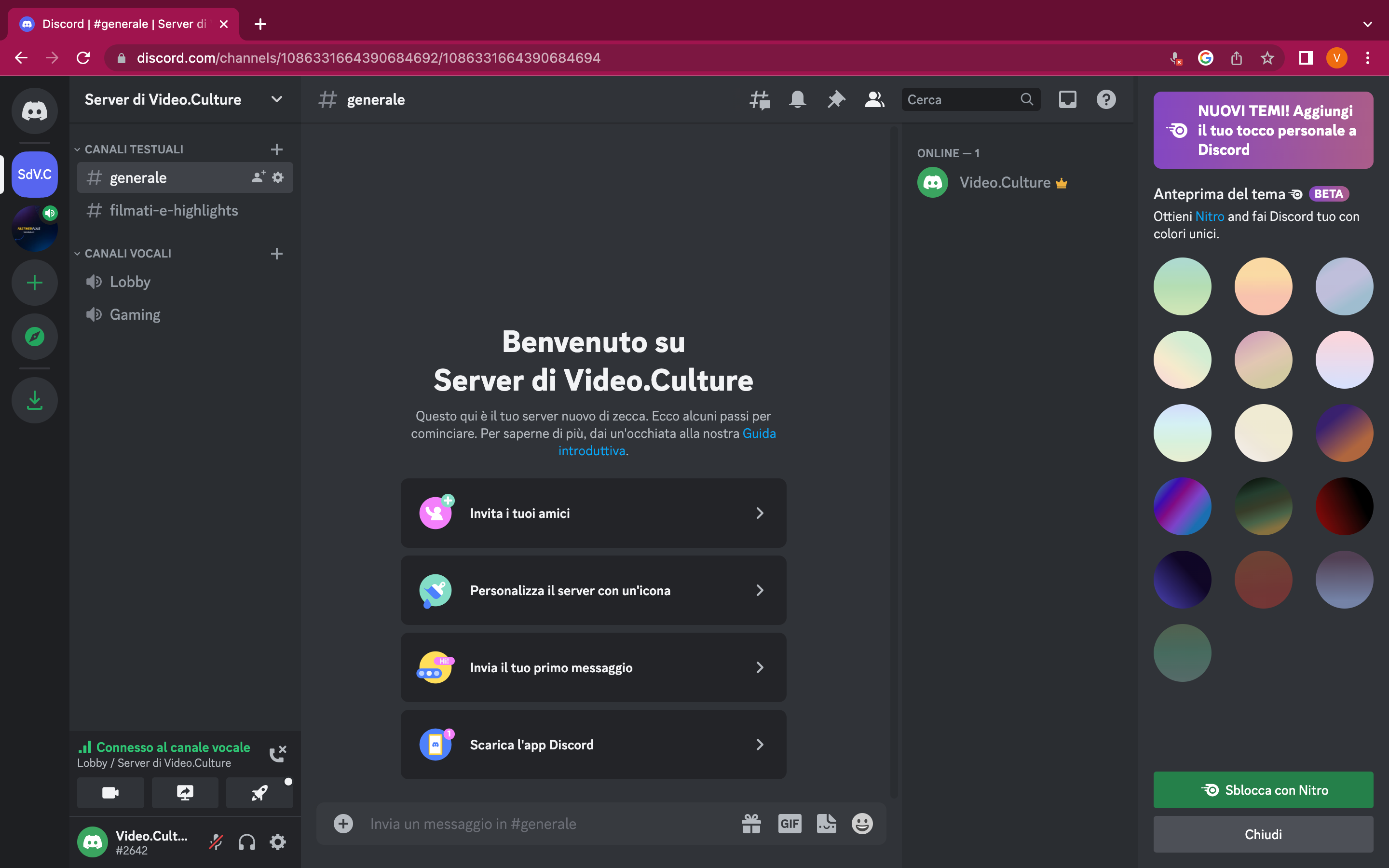 Raid su Discord Raid su Discord