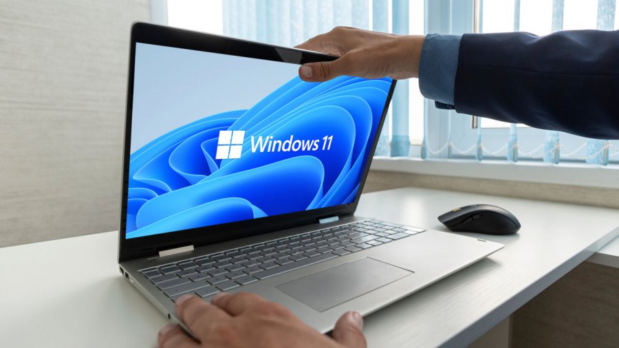 Windows 11