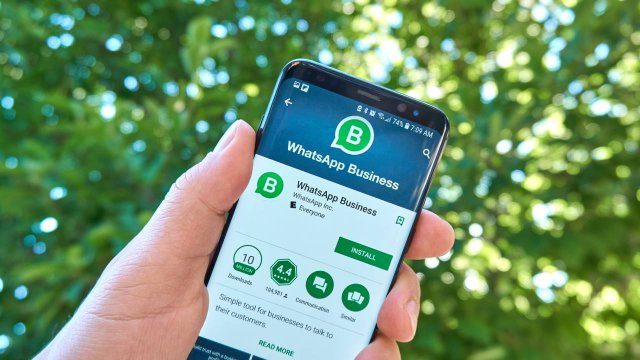 Cos'è e come funziona Whatsapp Business