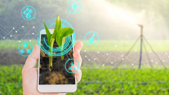 Lo smartphone diventa fondamentale in giardino