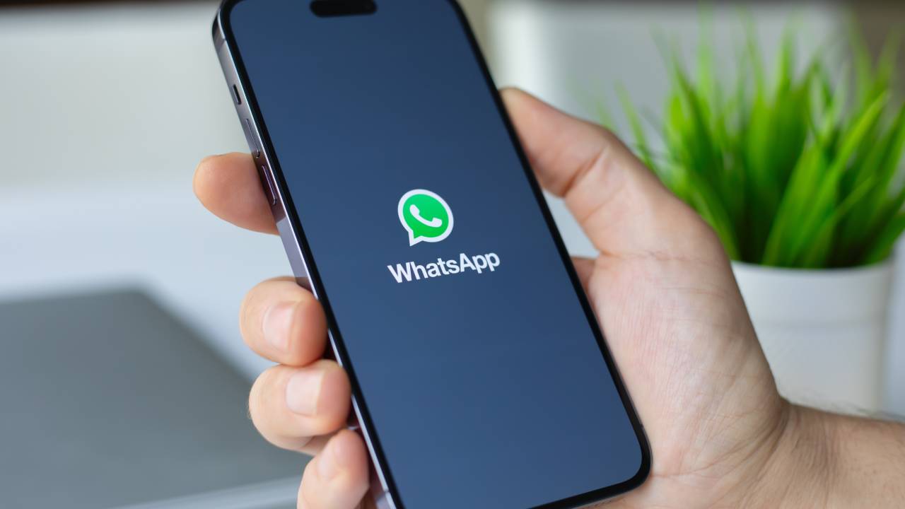 Whatsapp Whatsapp