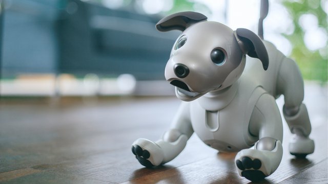 robot ces 2018 aibo