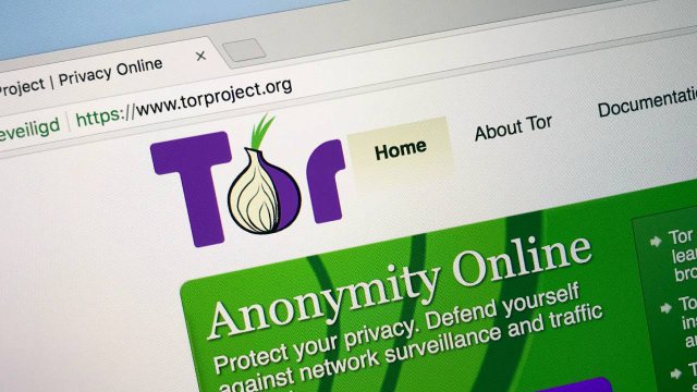 Il logo del Tor project