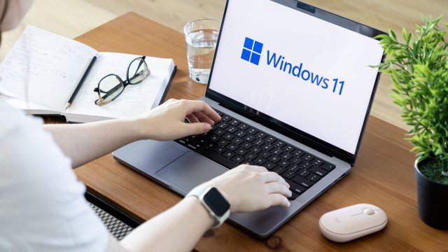 Windows 11