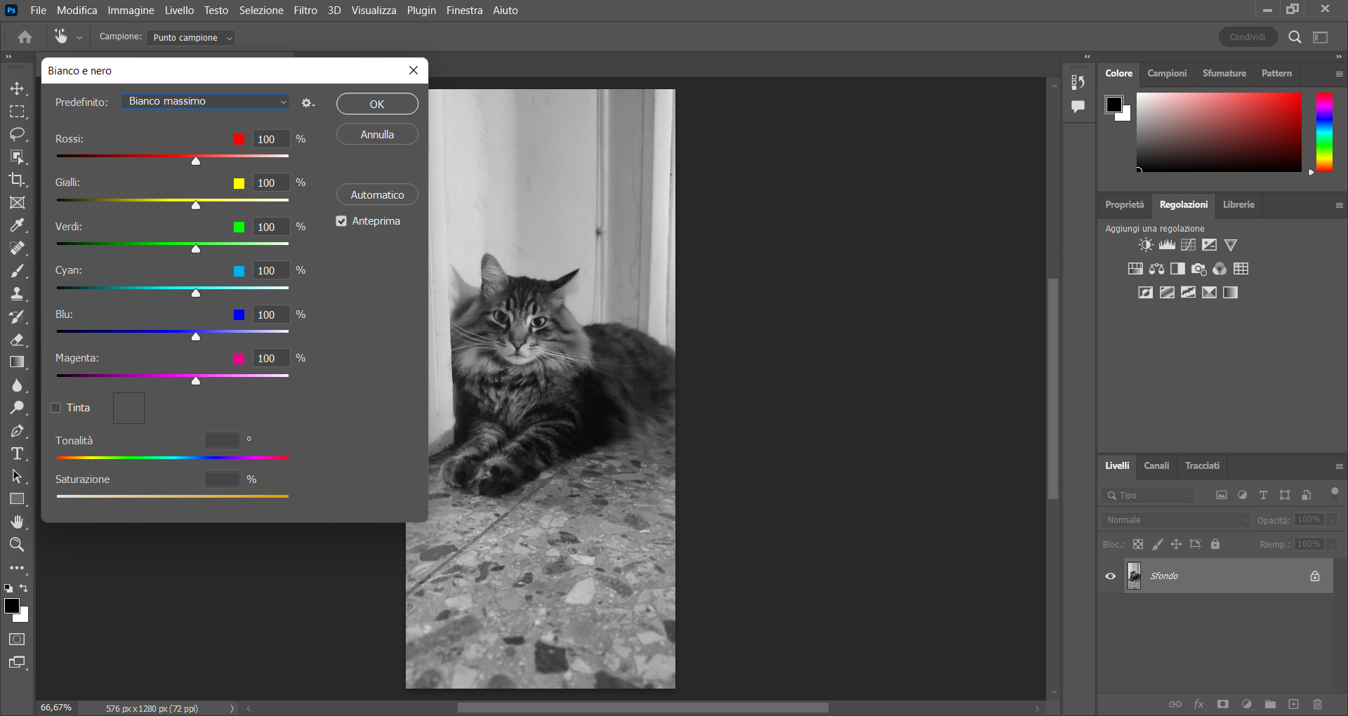 Immagine in bianco e nero su Photoshop Immagine in bianco e nero su Photoshop