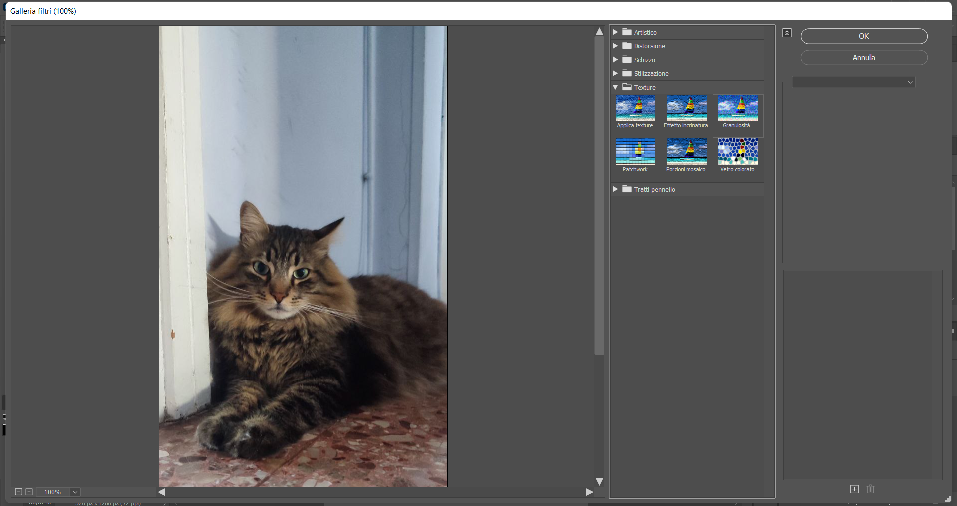 Applicare un filtro su Photoshop Applicare un filtro su Photoshop