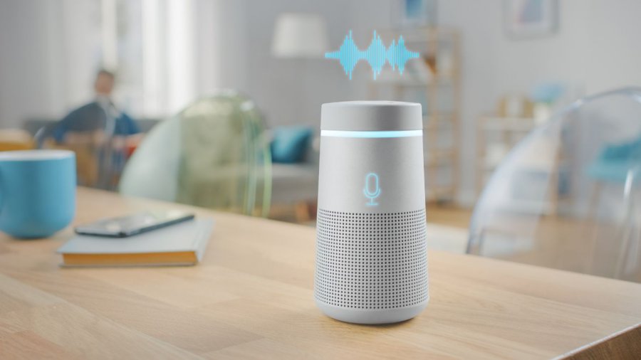 Smart Speaker