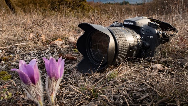 Guida all'acquisto fotocamere reflex