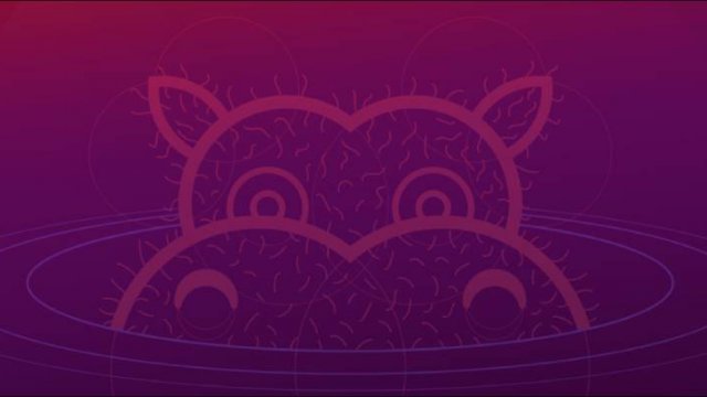 ubuntu hirsute hippo