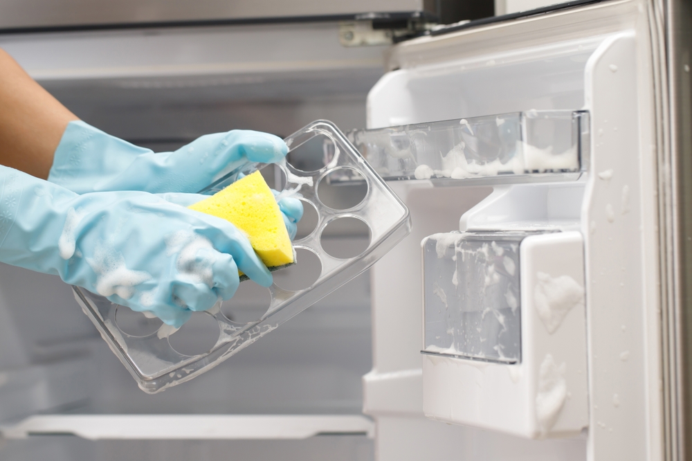 Manutenzione frigorifero Manutenzione frigorifero