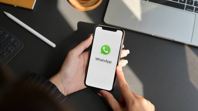 WhatsApp logo su smartphone, sondaggi