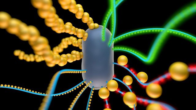 Materiali viventi, le nuove frontiere della biologia