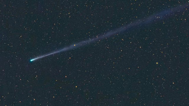 La cometa ISON in un'immagine dalla Rete