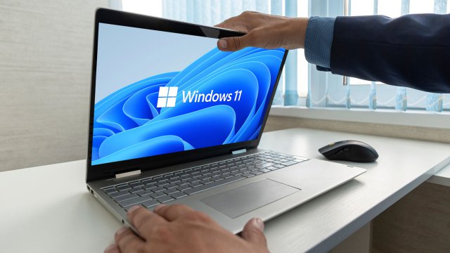 Windows 11