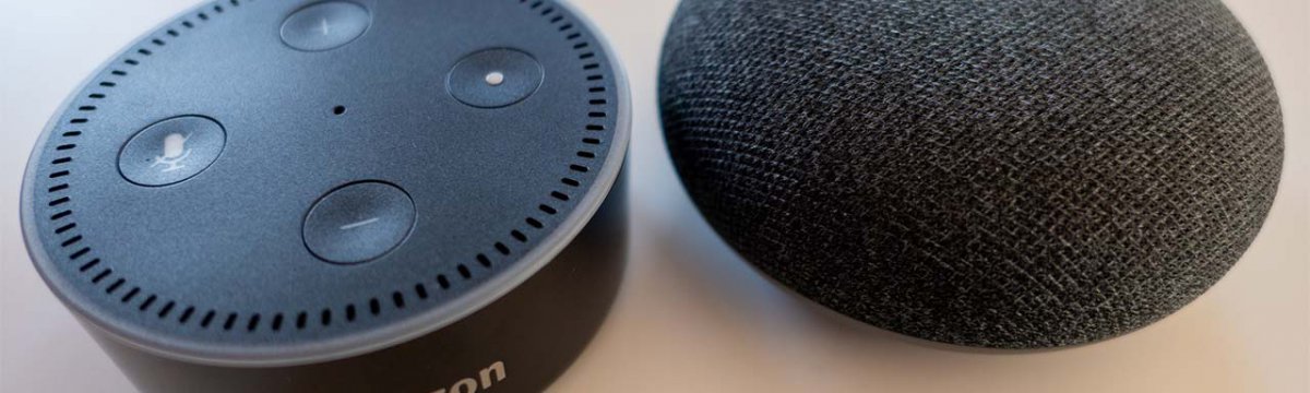 Amazon Echo e Google Home