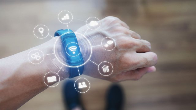 Wearable AI