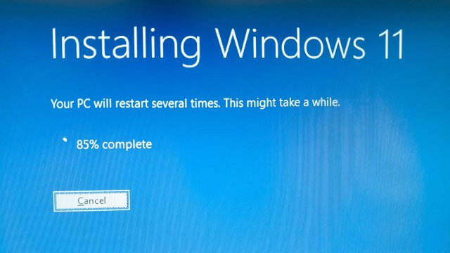 Windows 11