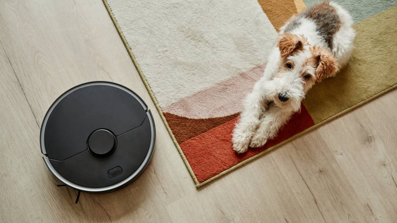 Robot aspirapolvere e animali
