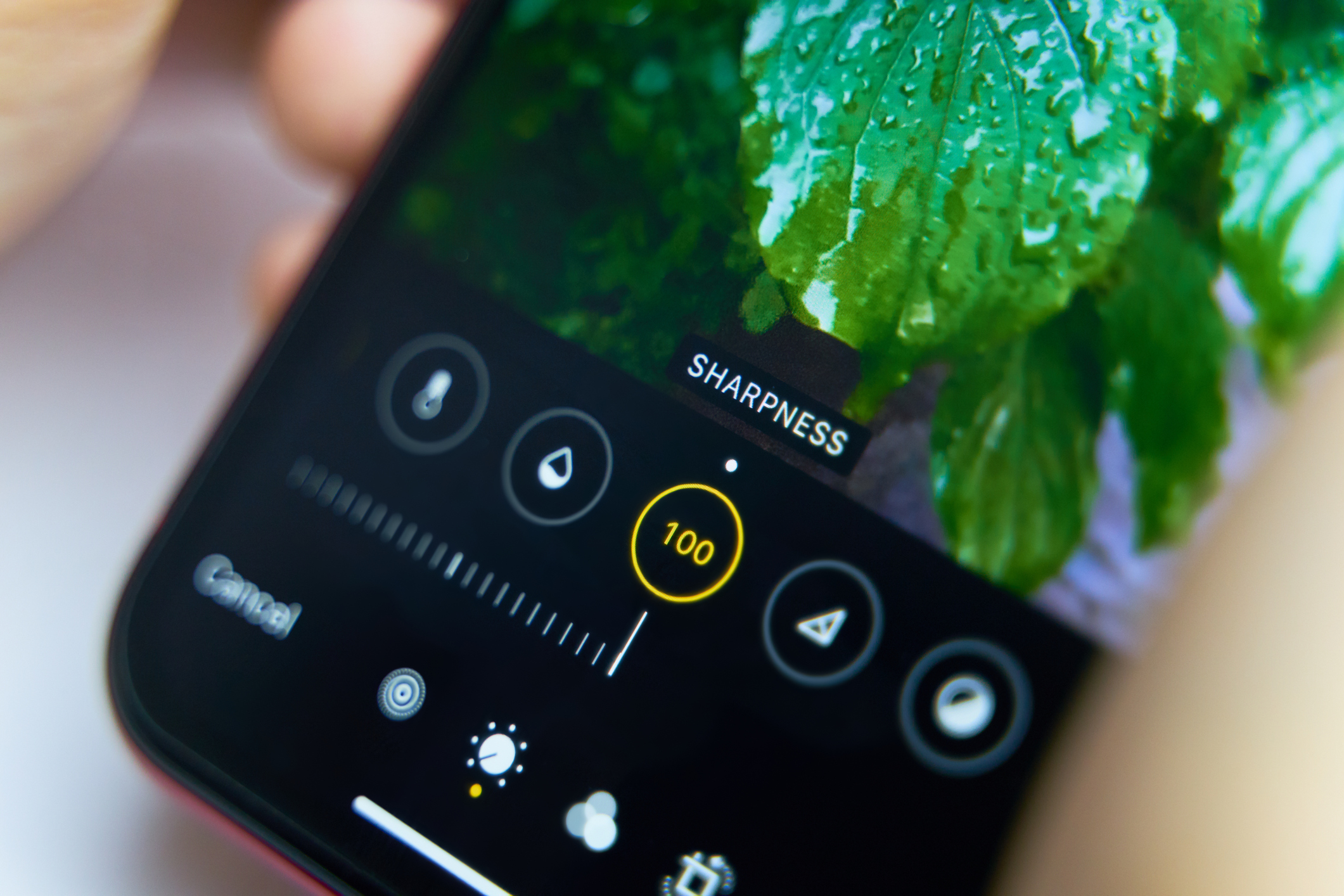 Modifica foto su iPhone Modifica foto su iPhone