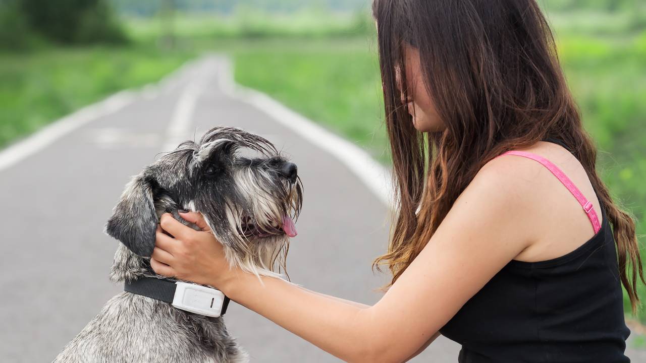 Tracker per cani