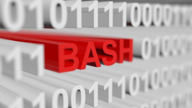 bash shell linux