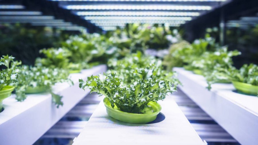 Precision agriculture