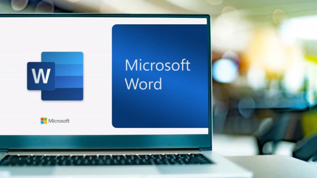 Microsoft Word