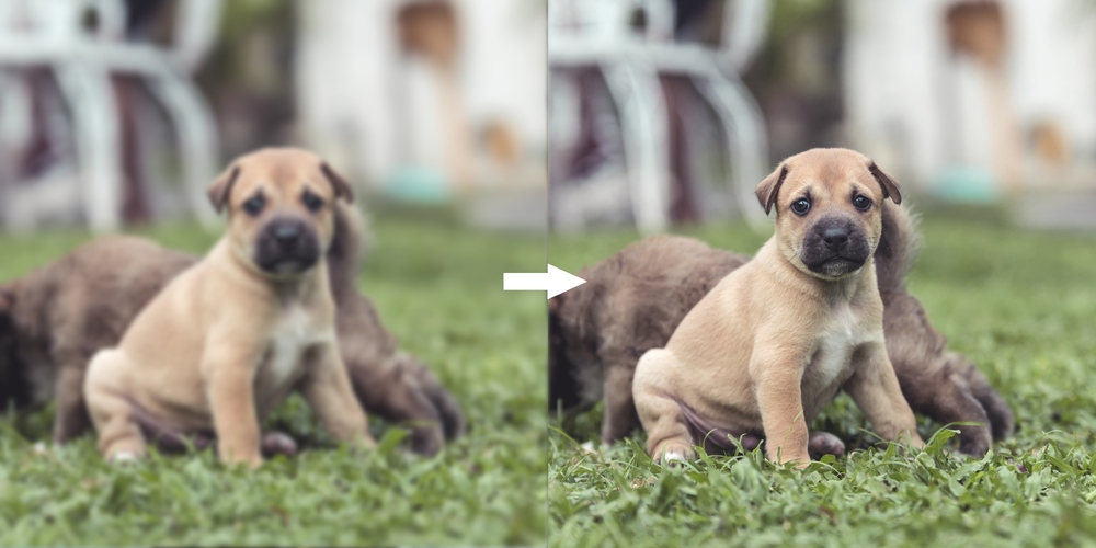 Fotografia sfocata Fotografia sfocata